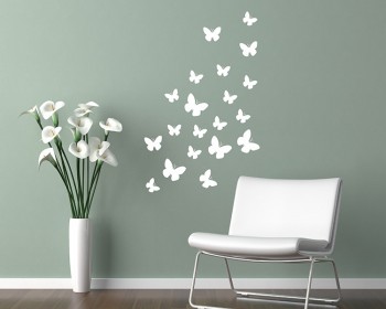 A Set of 36 Butterflies   A Set of 36 Butterflies